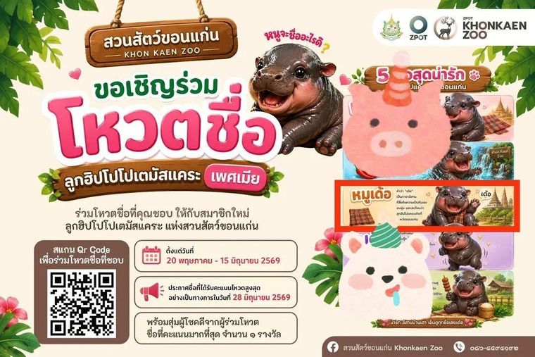 Khon Kaen Zoo — vote the pygmy hippo's name (Moo Der / หมูเด้อ)